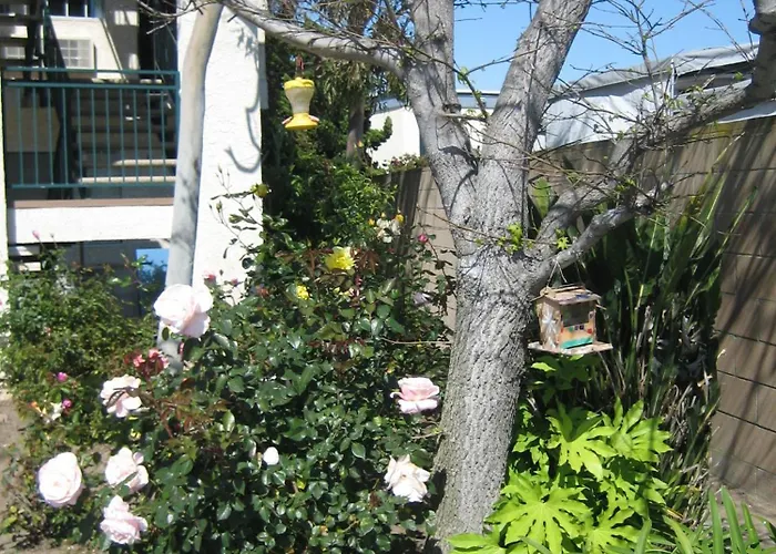 Oceanview Motel